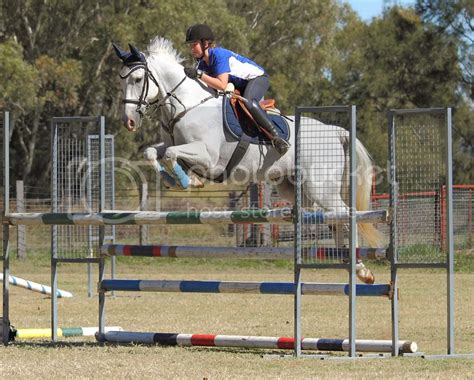 jumping picsshow   page   horse forum