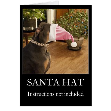 Funny Dog Santa Hat Christmas Greeting Card Zazzle