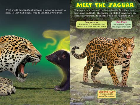 Jaguar vs. Skunk (Who Would Win?) | Scholastic Canada