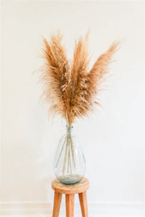 Tall Pampas Grass Bouquet 4ft Grand Sale Dry Floral For Home Etsy