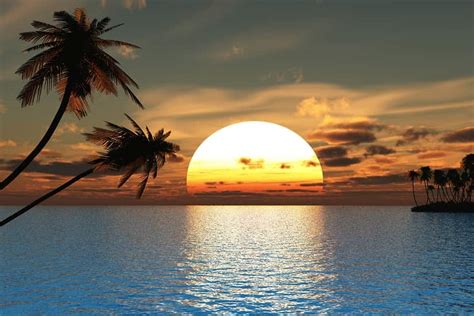 Seascape Tropical Sunset Ocean Palm Tree Self Adhesive