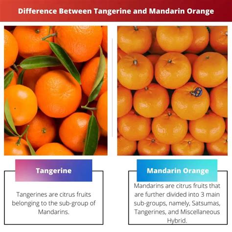 Tangerine Vs Mandarin Orange Difference And Comparison