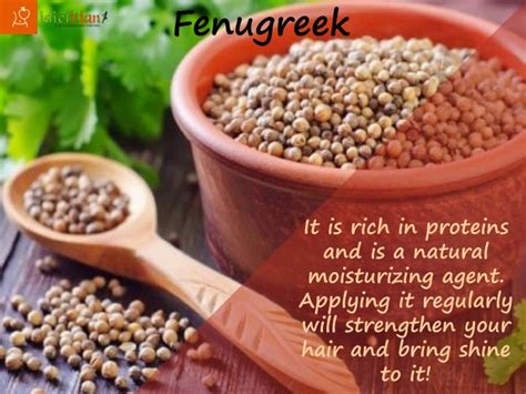 But wha t goes against it is that people started worry very much about their hair loss, that their hair would be less, they would look ugly. PPT - 7 Home Remedies for Hair Loss PowerPoint ...