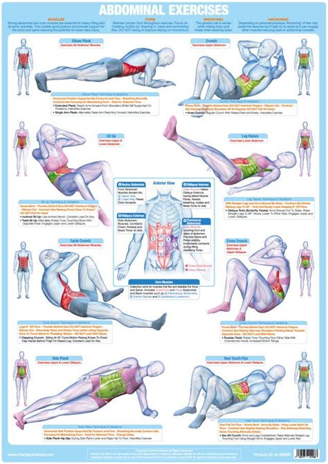 Abdominal Floor Exercise Wall Chart Core Muscle Exercises Core Muscle Training Abdominal