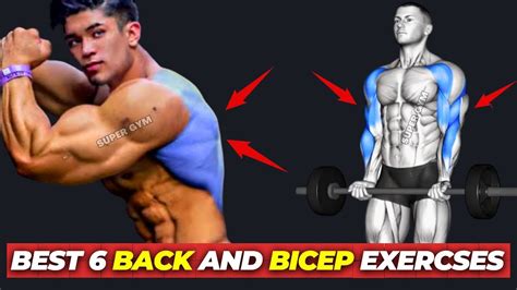 Build Bigger Back And Bicep Top 6 Back And Bicep Exercises Back And