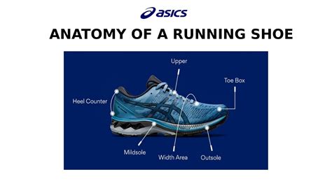 Anatomy Of A Running Shoe A Complete Guide Asics India By Asics2022