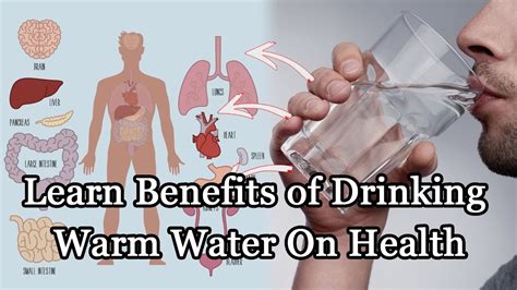 learn benefits of drinking warm water on health youtube