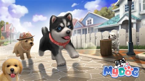 My Dog Puppy Game Pet Simulator Online Android Ios Gameplay