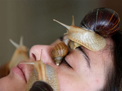 Photos Slimy Snail Facials Not For The Faint Hearted Lifestyle