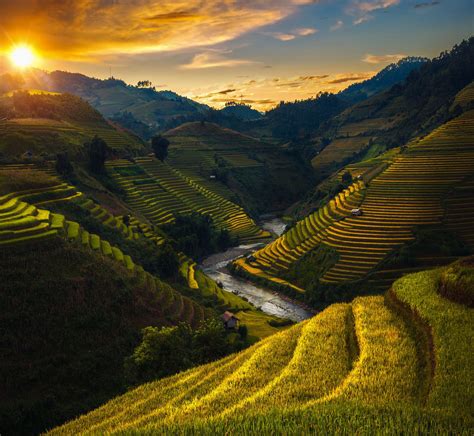 Rice Field And Rice Terrace In Mu Cang Chai Rice Field And Rice
