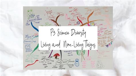 P3 Science Diversity Living And Non Living Things Mind Map Youtube