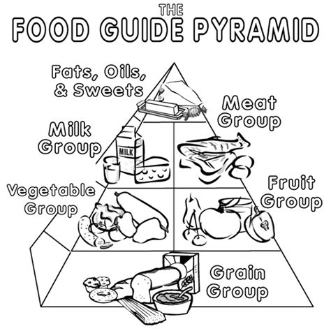 Free Food Pyramid Worksheet