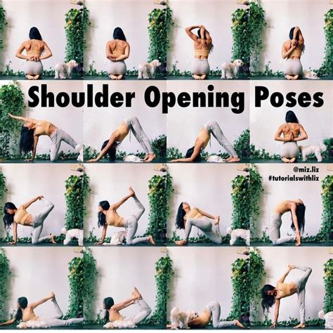 Shoulder Opening Yoga Poses I Think You Should Try Flexibility