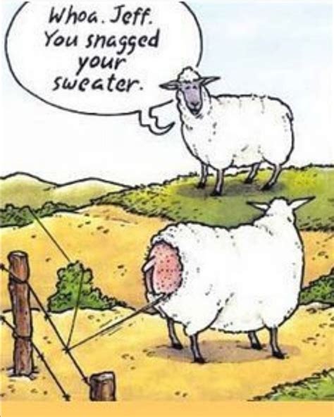 Pin By Diana Mulgrew On Sheep In 2020 Funny Cartoons Jokes Cartoon Jokes Knitting Humor Funny