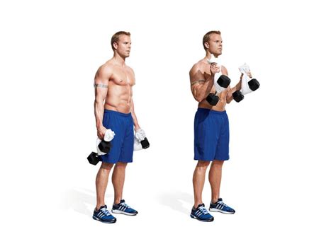 4 Powerful Workouts For Bigger Forearms Fitness Workouts And Exercises