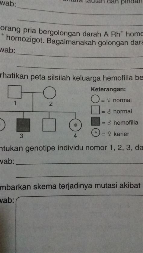 Perhatikan Peta Silsilah Keluarga Hemofilia Berikut Tentukan Genotipe