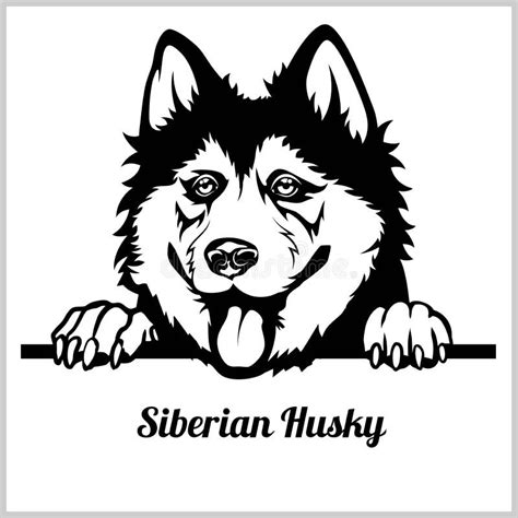 Husky Peeking Head Stock Illustrations 22 Husky Peeking Head Stock Illustrations Vectors