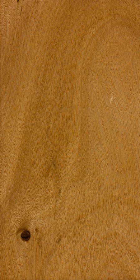 Pacific Maple The Wood Database Lumber Identification Hardwood