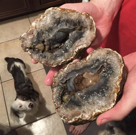 My Manfriend Found This Mother Of A Geode While We Were Hiking Id