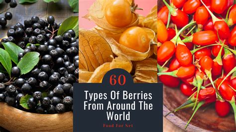 60 Types Of Berries From Around The World Food For Net