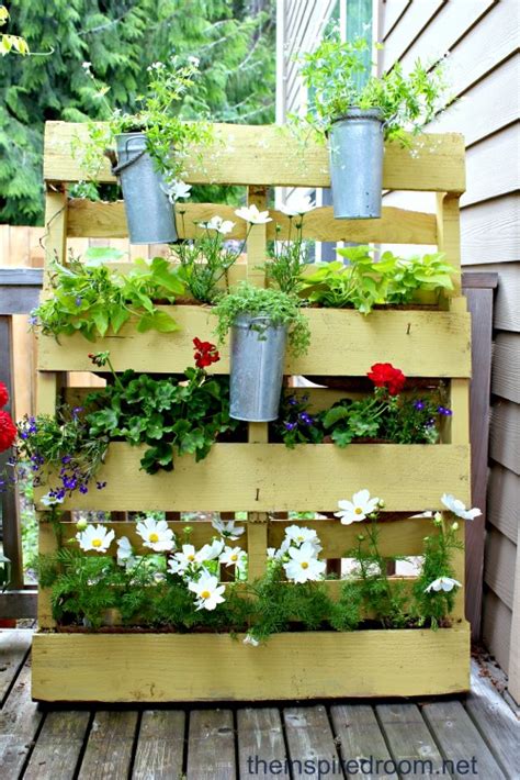 Bit.ly/2aykxm2here is what you'll need!suppliessharp scissorspenny from before 1982icevodkalemon. Small Space Flower Garden {DIY Pallet Project} | The ...