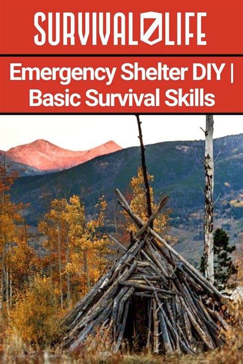 Emergency Shelter Diy Basic Survival Skills Wilderness Survival