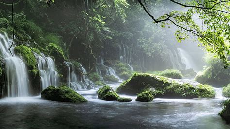 2560x1440 Spring Waterfall Stone Fog Mist Green Forest 1440p Resolution