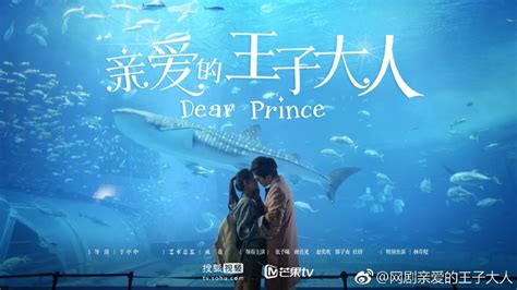 Sun xiao tao is the biggest fan of idol singer zhou yi ran. Dear Prince (2017) | DramaPanda