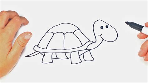 Cómo dibujar un Tortuga paso a paso Dibujo fácil de Tortuga YouTube