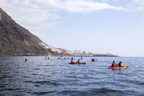 Kayak En Los Acantilados De Los Gigantes Reserva Ahora