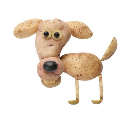 Dog Made Of Potato Stock Image Image Of Organic Olive 61982477