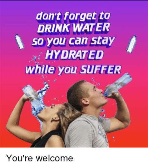 Stay Hydrated Gamers Rdankmemes