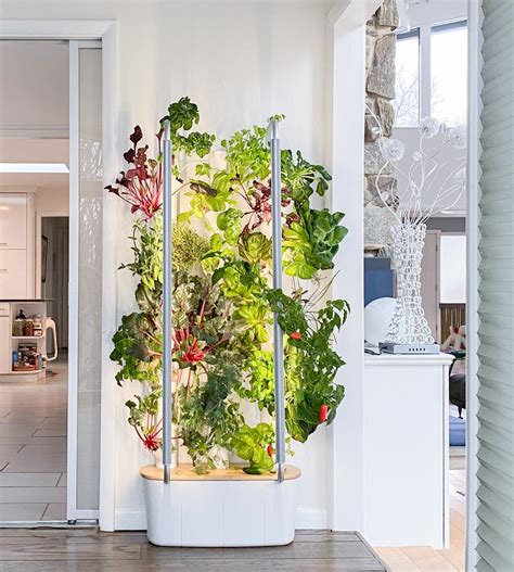 Home Hydroponics Tech Trend Or The New Victory Garden