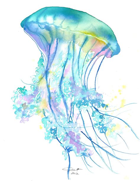 Original Watercolor Jellyfish Study No 4 Painting By Jessica