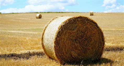 Outdoor Hay Storage Ideas American Steel Carports Inc