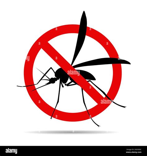 No Mosquito Fly Stop Sign Stock Vector Image And Art Alamy
