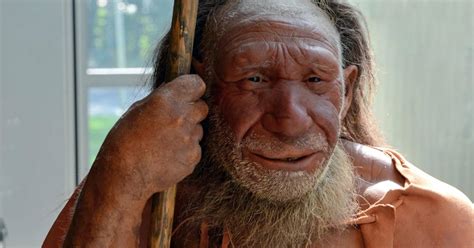 Which Parts Of Us Are Neanderthal Genes Point To Skin And Hair