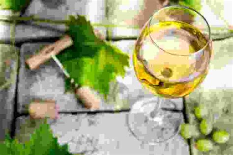 What Is A Dry White Wine Driest White Wines For 2024 Cozymeal
