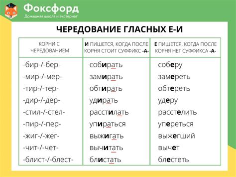 Правила про корни в русском языке