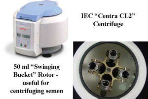 Centrifugation Of Stallion Semen Tips Techniques And Calculations