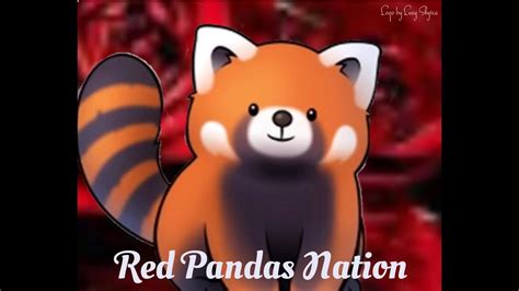 Red Pandas Nation Music Video Youtube