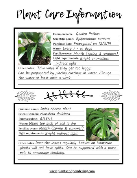 Printable Plant Information Sheets On This Page Youll Find All