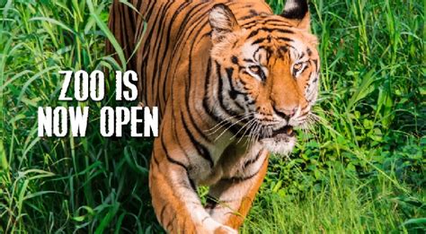 National Zoological Park Delhi Ticket Booking 2023 Price Timing At