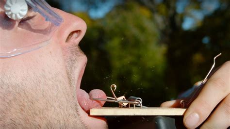 man sticks his tongue in a mouse trap and films it in slow mo huffpost weird news