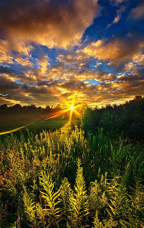 Life Was Changed Photograph By Phil Koch Fine Art America