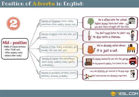 Adverb Placement Position Of Adverbs In English My Xxx Hot Girl