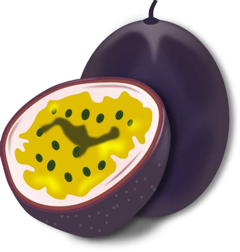 Passion Fruit Vector Png Clip Art Library