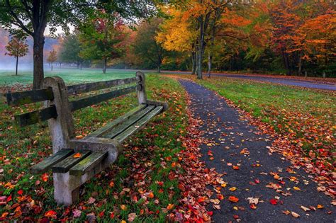 757402 Parks Seasons Autumn Foliage Bench Rare Gallery Hd Wallpapers
