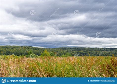 Autumn Landscape Cloudy Day With Dark Clouds Over Yellow Field Cloudy
