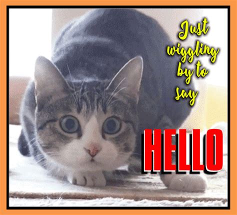Just Wiggling By To Say Hello Free Hi Ecards Greeting Cards 123